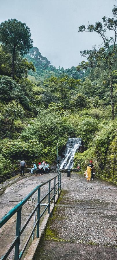 Safarmaina Resort Kasauli Eksteriør bilde