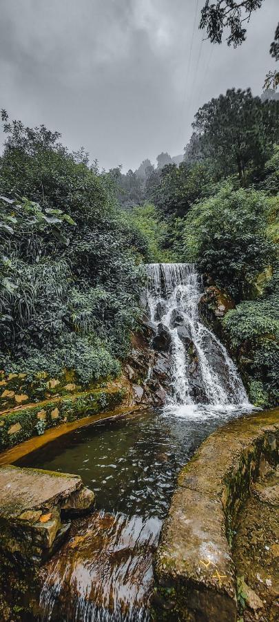 Safarmaina Resort Kasauli Eksteriør bilde