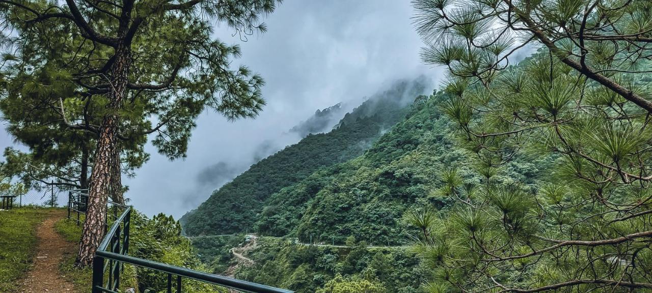 Safarmaina Resort Kasauli Eksteriør bilde