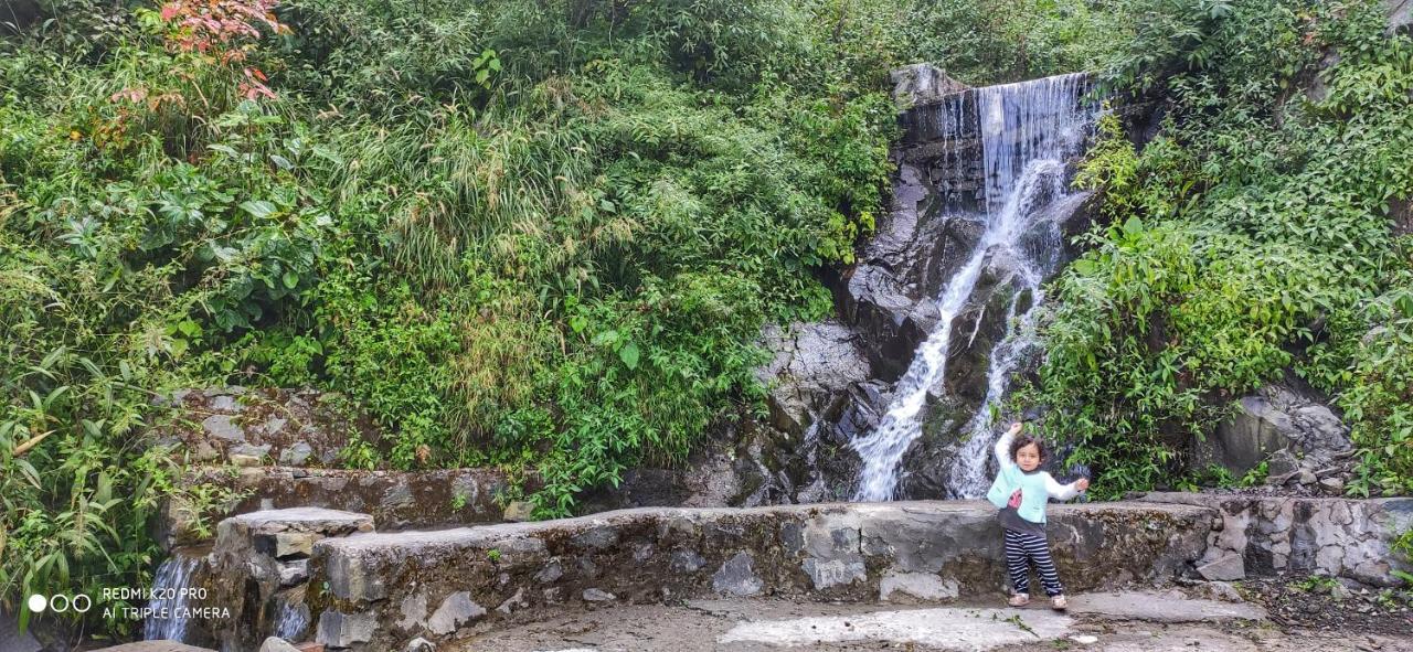 Safarmaina Resort Kasauli Eksteriør bilde