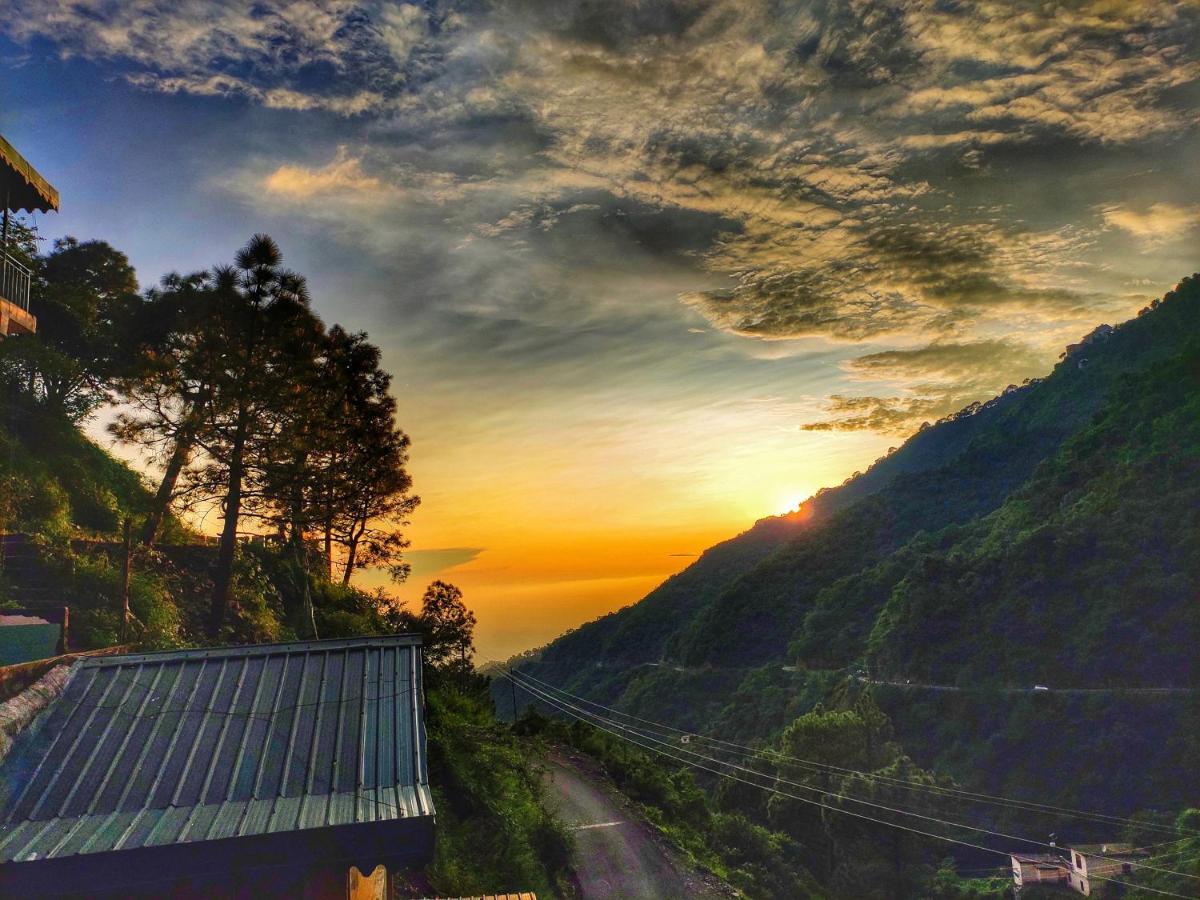 Safarmaina Resort Kasauli Eksteriør bilde