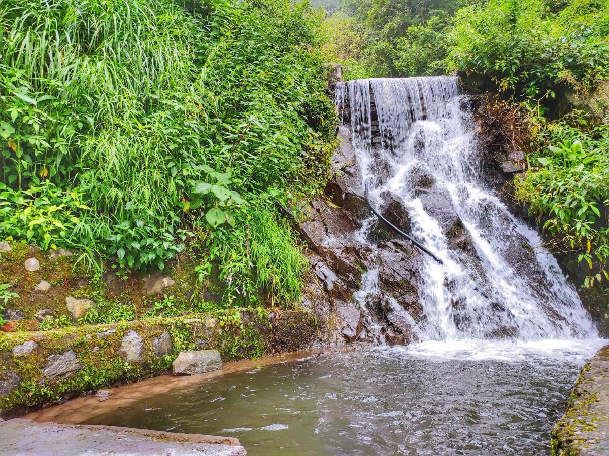 Safarmaina Resort Kasauli Eksteriør bilde